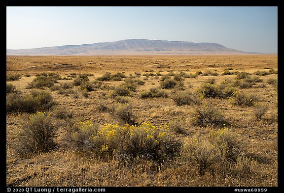 Sagebrush and Rattlesnake Mountain, Hanford Reach National Monument. Washington (color)