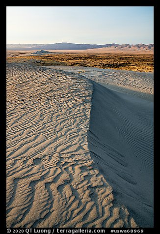 Crest of sand dunes, Hanford Reach National Monument. Washington (color)