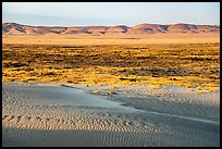 Sand dunes and Saddle Mountains, Hanford Reach National Monument. Washington ( color)