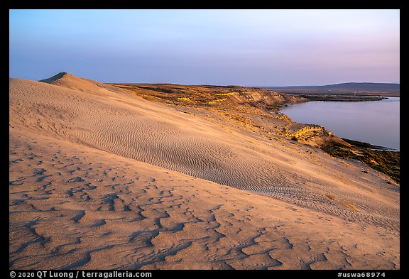 Sand ripples and Columbia River at sunset, Hanford Reach National Monument. Washington (color)