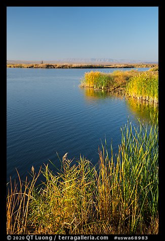 Wahluke Ponds, Hanford Reach National Monument. Washington (color)