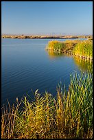 Wahluke Ponds, Hanford Reach National Monument. Washington ( color)