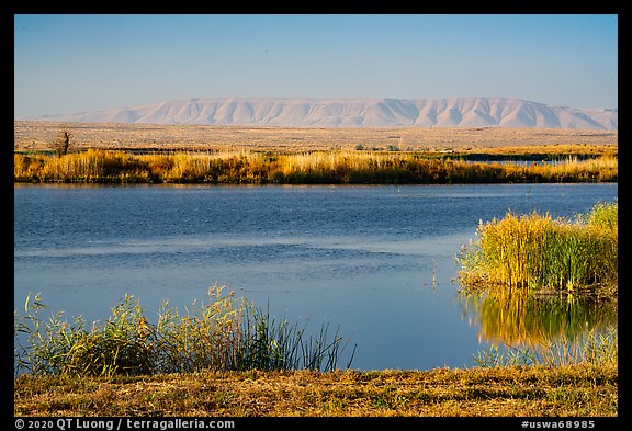 Wahluke Ponds and distant Rattlesnake Mountain, Hanford Reach National Monument. Washington (color)