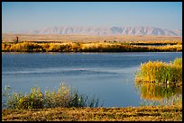 Wahluke Ponds and distant Rattlesnake Mountain, Hanford Reach National Monument. Washington ( color)