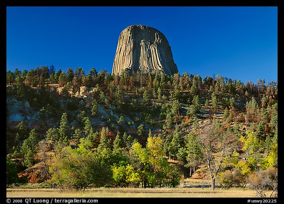 Devil's Tower rising above forested slope. Wyoming, USA