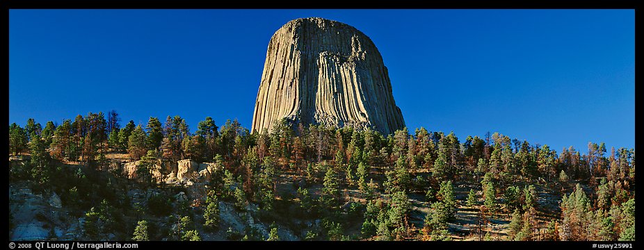 Devils Tower rising above forest. Wyoming, USA (color)