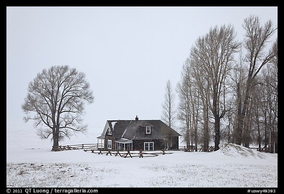 Miller House during snow storm, National Elk Refuge. Jackson, Wyoming, USA