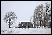 Miller House during snow storm, National Elk Refuge. Jackson, Wyoming, USA