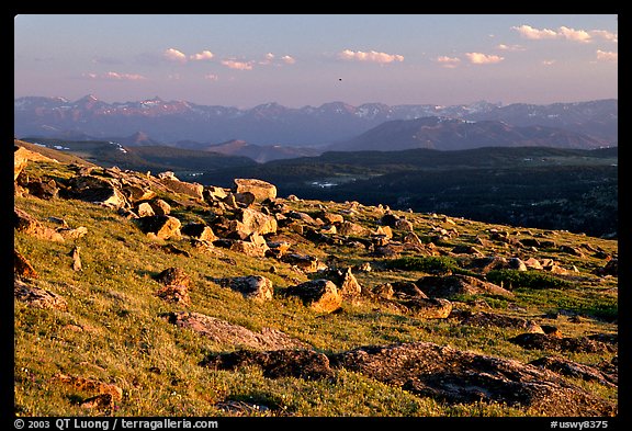Alpine meadow and rocks, late afternoon, Beartooth Range, Shoshone National Forest. Wyoming, USA (color)