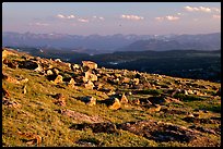 Alpine meadow and rocks, late afternoon, Beartooth Range, Shoshone National Forest. Wyoming, USA (color)