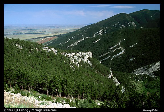 Forest on slopes above the prairie,  Bighorn National Forest. Wyoming, USA (color)