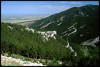 Forest on slopes above the prairie,  Bighorn National Forest. Wyoming, USA (color)