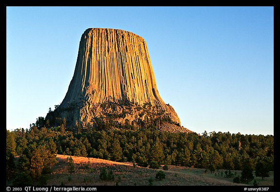 Monolithic igneous intrusion, Devils Tower National Monument. Wyoming, USA