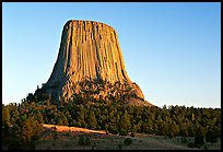 Monolithic igneous intrusion, Devils Tower National Monument. Wyoming, USA