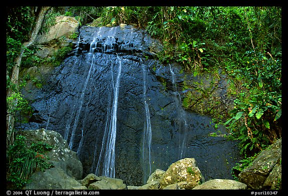 La Coca Falls, El Yunque, Carribean National Forest. Puerto Rico (color)