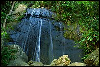 La Coca Falls, El Yunque, Carribean National Forest. Puerto Rico (color)