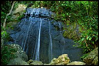 La Coca Falls, El Yunque, Carribean National Forest. Puerto Rico