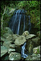 La Coca Falls, El Yunque, Carribean National Forest. Puerto Rico ( color)