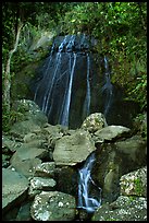 La Coca Falls, El Yunque, Carribean National Forest. Puerto Rico (color)