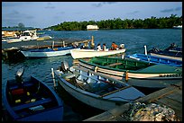 Small boats on a mangrove-covered cost, La Parguera. Puerto Rico