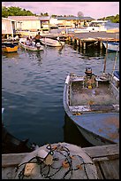 Small boat harbor, La Parguera. Puerto Rico (color)