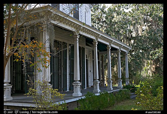 House and trees with Spanish moss in frontyard. Selma, Alabama, USA (color)
