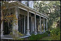 House and trees with Spanish moss in frontyard. Selma, Alabama, USA