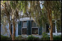 Spanish moss covered trees and windows. Selma, Alabama, USA (color)