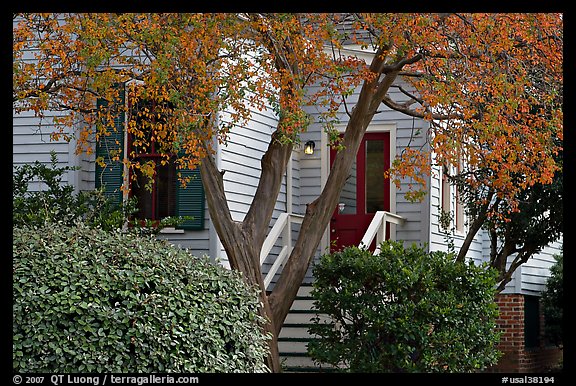 Tree in fall color and house. Montgomery, Alabama, USA (color)