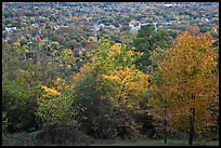 Trees in fall colors and city. Hot Springs, Arkansas, USA (color)