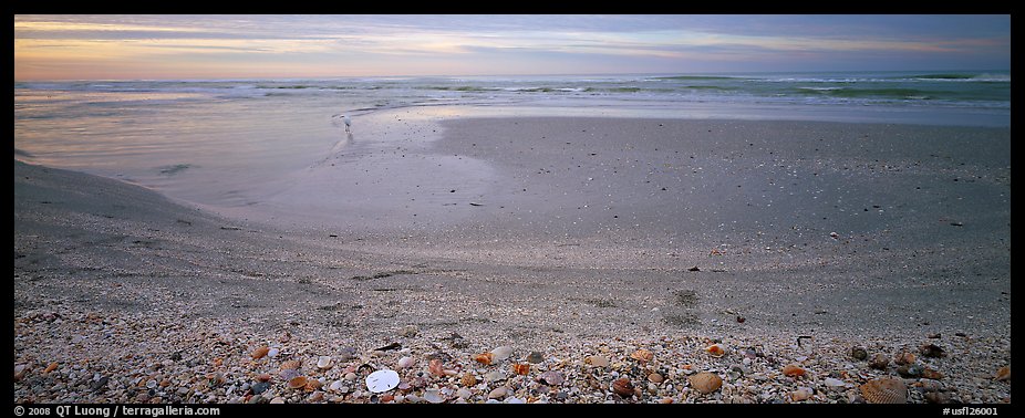Beach seascape with seashells, dawn, Sanibel Island. Florida, USA (color)
