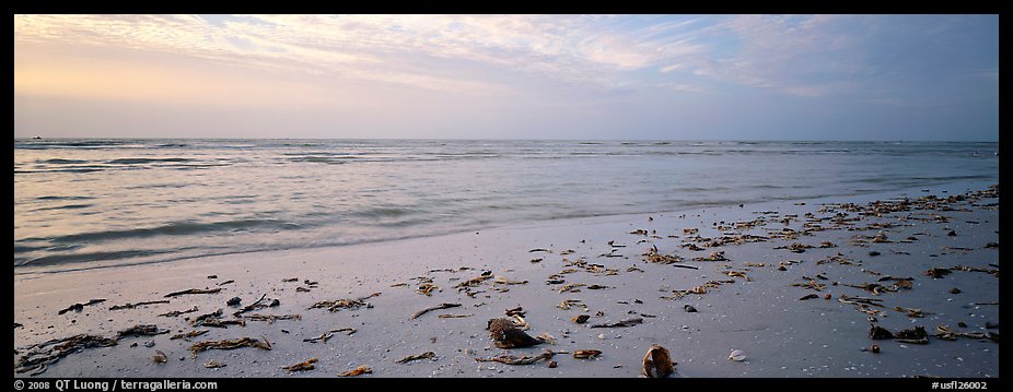 Beach seascape with washed seaweed, Sanibel Island. Florida, USA