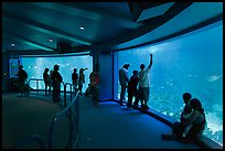 Aquarium, Walt Disney World. Orlando, Florida, USA (color)
