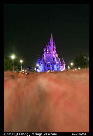 Blurred crowds and Cinderella Castle at night. Orlando, Florida, USA