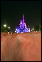 Blurred crowds and Cinderella Castle at night. Orlando, Florida, USA (color)
