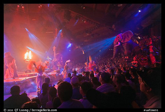 Audience and stage, Circus show, Walt Disney World. Orlando, Florida, USA (color)