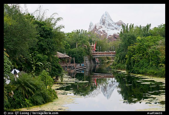 Tropical forest and Everest mountain, Animal Kingdom Theme Park. Orlando, Florida, USA