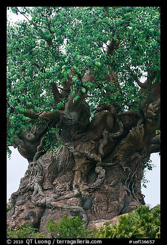 Sculpted tree of life, Animal Kingdom Theme Park, Walt Disney World. Orlando, Florida, USA (color)