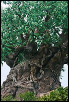 Sculpted tree of life, Animal Kingdom Theme Park, Walt Disney World. Orlando, Florida, USA ( color)