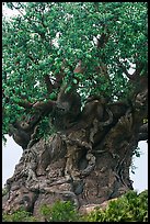 Sculpted tree of life, Animal Kingdom Theme Park, Walt Disney World. Orlando, Florida, USA