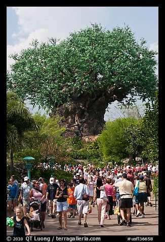 The Tree of Life, centerpiece of Animal Kingdom Theme Park. Orlando, Florida, USA (color)