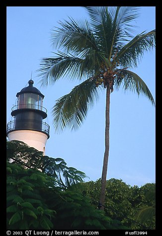 Lighthouse and palm tree. Key West, Florida, USA (color)