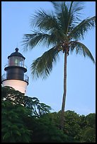Lighthouse and palm tree. Key West, Florida, USA (color)