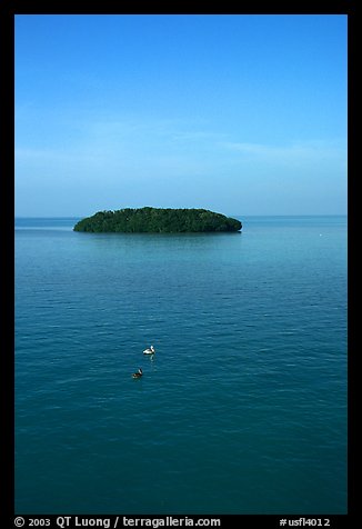 Small island covered with mangroves. The Keys, Florida, USA (color)