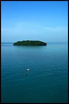 Small island covered with mangroves. The Keys, Florida, USA