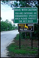 Sign warning about the endangered Key deer, Big Pine Key. The Keys, Florida, USA (color)