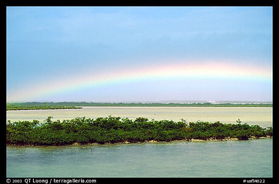 Rainbow above mangroves, Key West. The Keys, Florida, USA