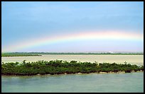 Rainbow above mangroves, Key West. The Keys, Florida, USA (color)