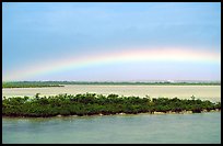 Rainbow above mangroves, Key West. The Keys, Florida, USA (color)