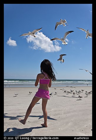 Girl playing with seabirds, Jetty Park beach. Cape Canaveral, Florida, USA